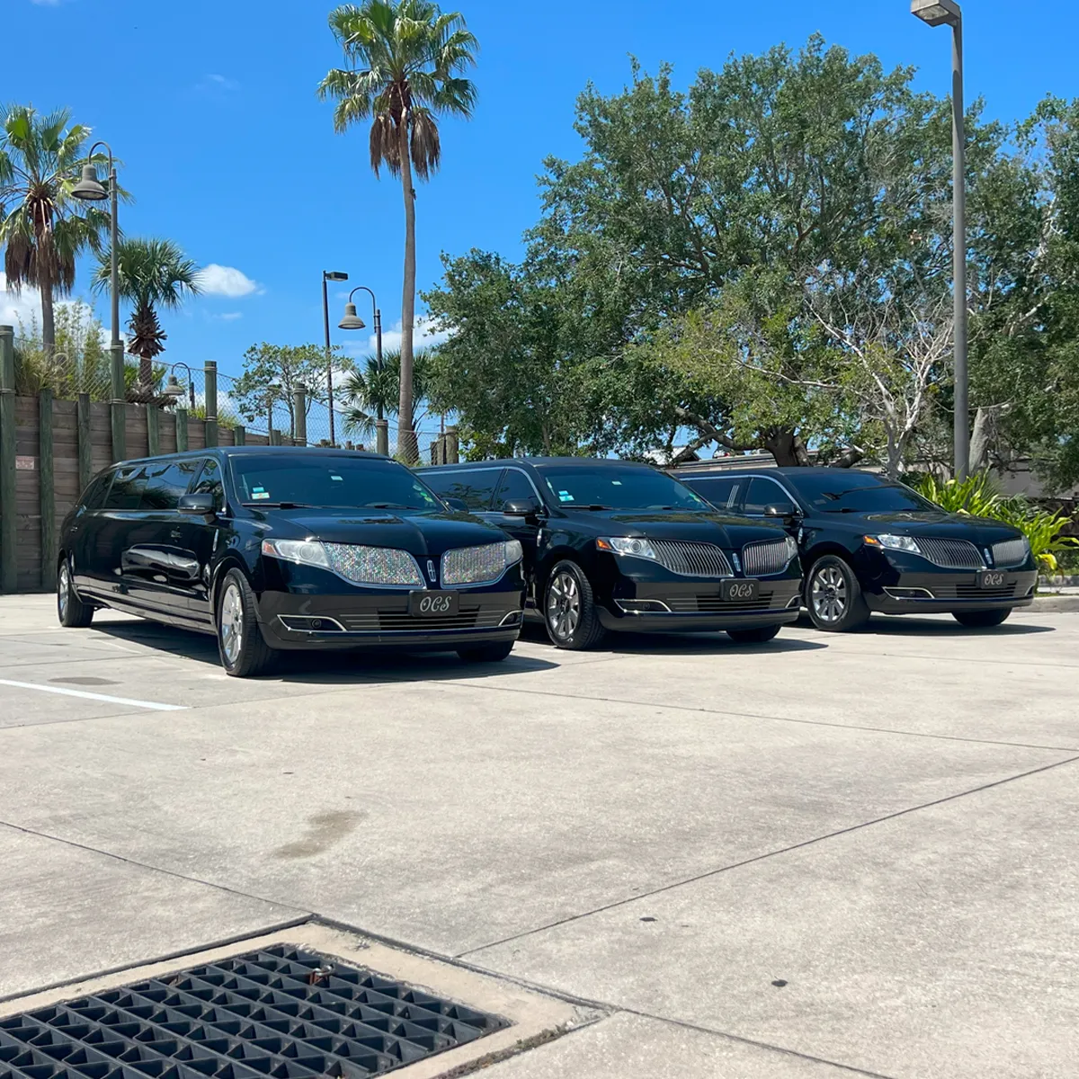 8 Passenger Limo to Port Canaveral
